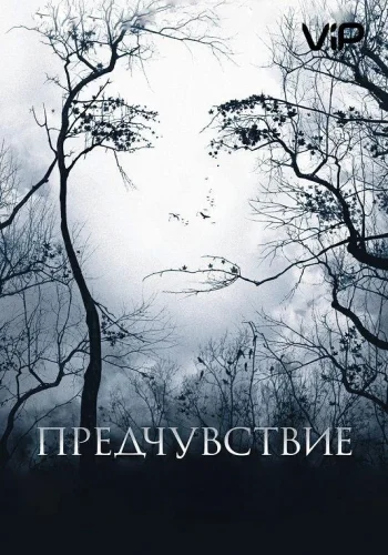 Постер Предчувствие